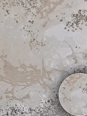 Oboy kreditle AM13004