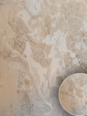 Oboy kreditle VIC406